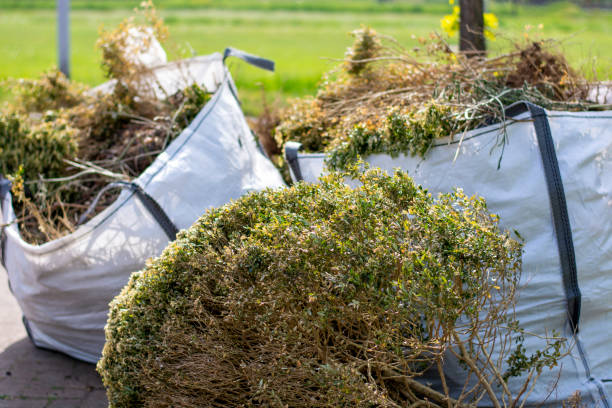 Best Construction Debris Removal  in Altoona, IA